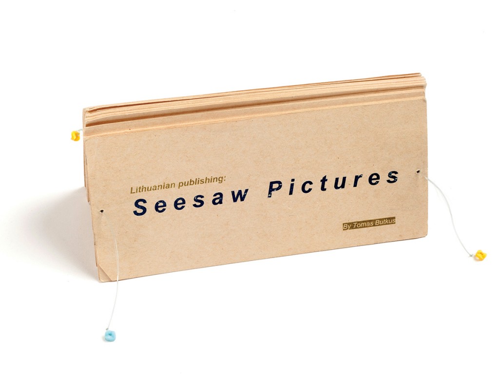 2004 seesaw pictures